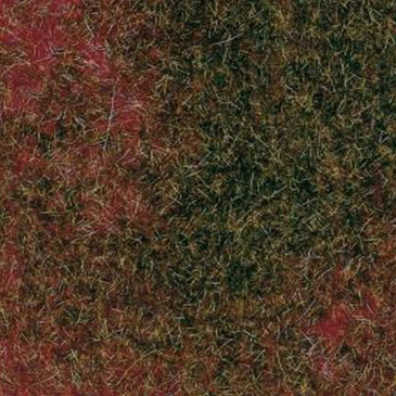 Tapis de bruyère-Toutes échelles-AUHAGEN 75115