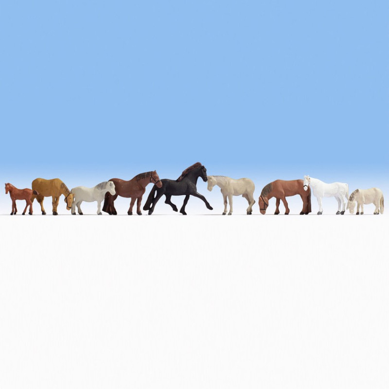Les chevaux ont-ils froid en hiver