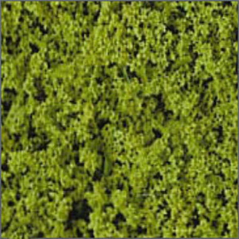 Tapis de floquage vert clair-toutes échelles- HEKI 1550