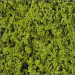 Tapis de floquage vert clair-toutes échelles- HEKI 1550