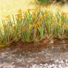 18 plants d'iris des marais Laser Cut minis-HO 1/87-NOCH 14140