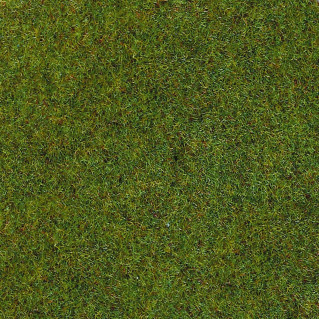 Fibres d'herbes d'été 2.5mm 20g-toutes échelles-HEKI 3354