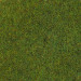 Fibres d'herbes d'été 2.5mm 20g-toutes échelles-HEKI 3354