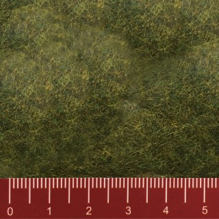 Flocages herbes des prés 2.5mm 20g-Toutes échelles-NOCH 08312