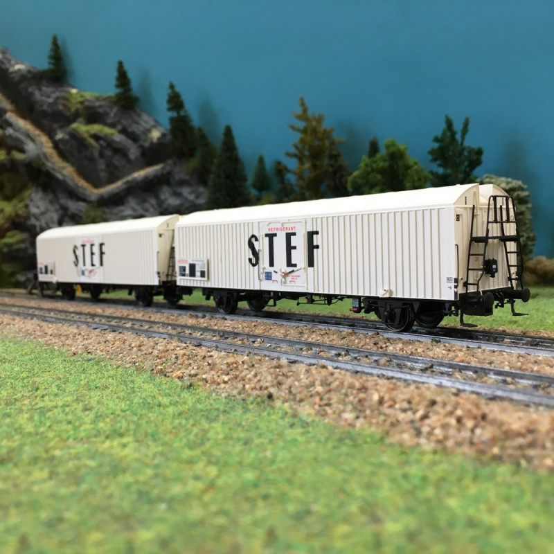 Coffret de 2 wagons couverts STEF SNCF ép IV-HO-1/87-LSMODELS 30227