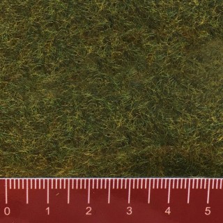 Flocages herbe des pré 2.5mm 100g-Toutes échelles-NOCH 50220