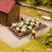 16 plants de choux fleurs-HO 1/87-NOCH 13216