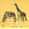 2 Girafes-HO 1/87-PREISER 20385