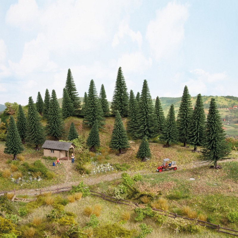 25 sapins 3.5 à 9 cm de haut-N Z-NOCH 32830