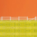 Enclos pour chevaux-HO-1/87-PREISER 17605