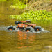 Crawler "Sea Racer" 4WD RTR - 1/12 - CARSON 500404138
