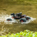 Crawler "The Beast" 4WD RTR - 1/12 - CARSON 500404130