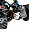 Buggy Beetle Warrior 2WD RTR - 1/10 - CARSON 500404086
