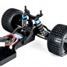 Buggy Beetle Warrior 2WD RTR - 1/10 - CARSON 500404086