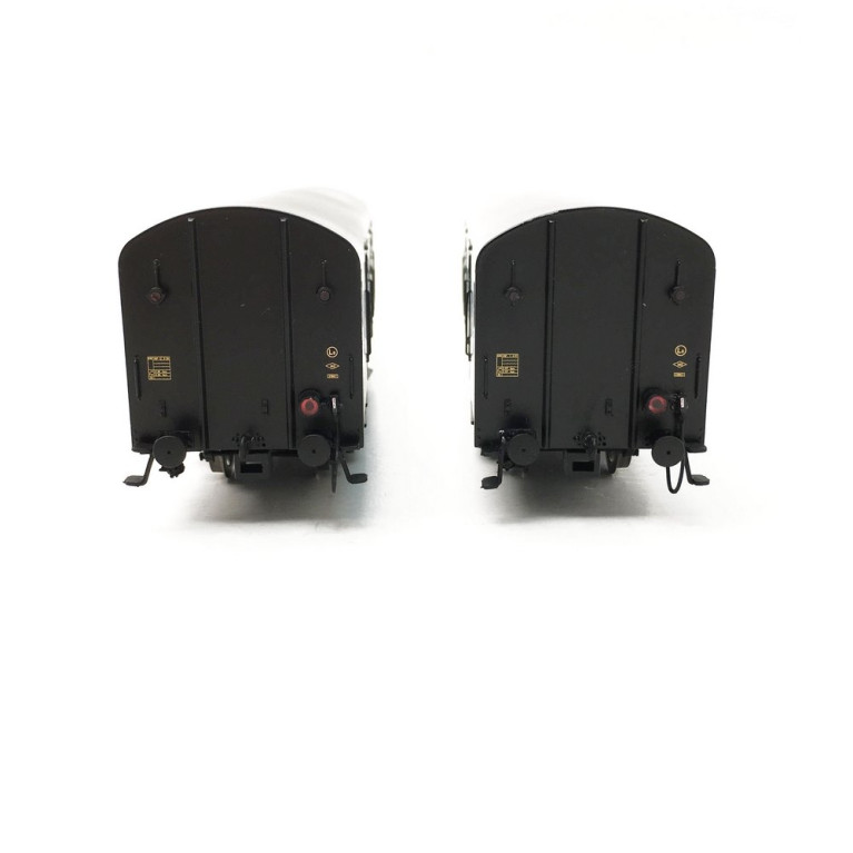 2 Fourgons Dqd2m SNCF Ep III - HO 1/87 - LSMODELS 30303