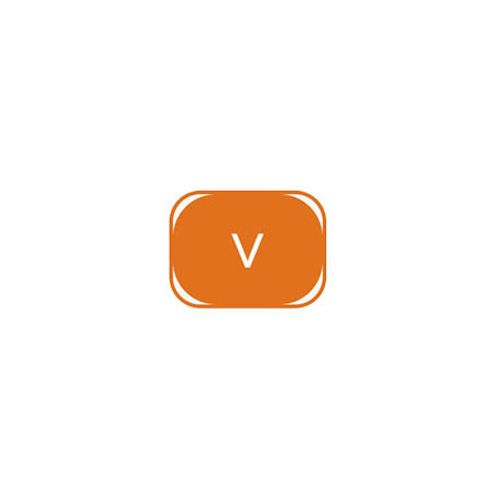 Époque V