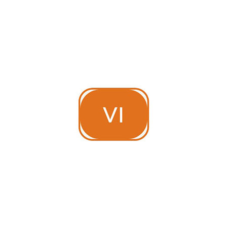 Époque VI