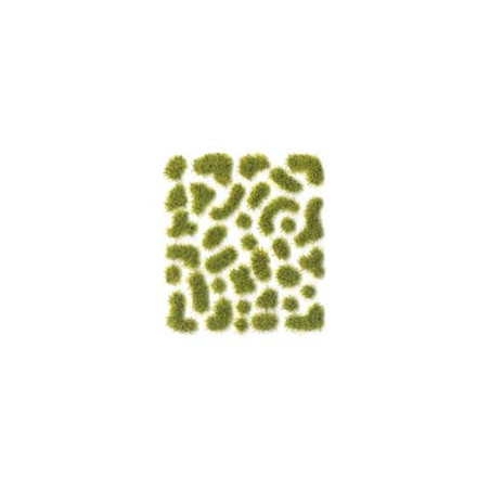 Herbe
