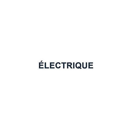 Locomotive Électrique