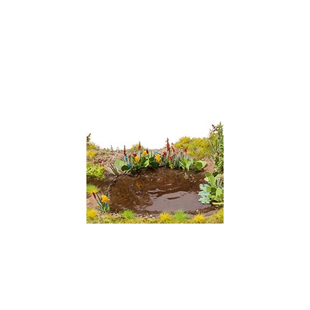 Plante Aquatique