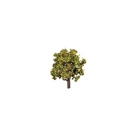Arbre Fruitier