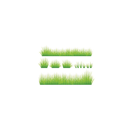 Herbe et Vegetation