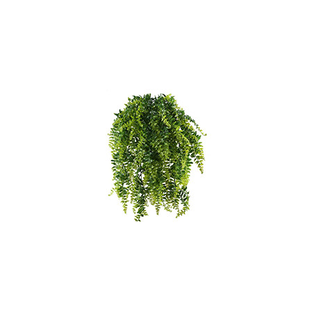 Flocage / Foliage / Feuillage