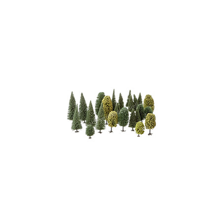 Arbre et Arbuste