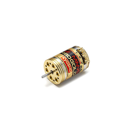 Moteur Electrique