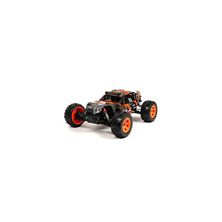 Pirate XT-C Brushless 1/10