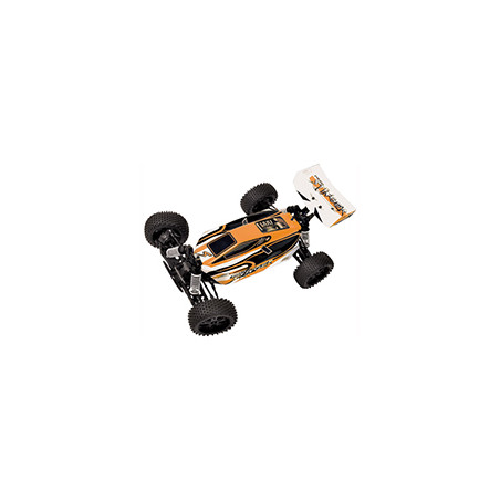 Pirate Stinger Brushless 1/10