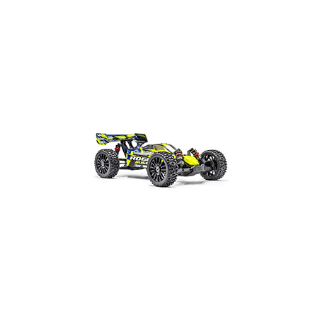 Rogue Buggy 1/8