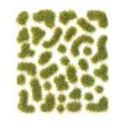 Herbe