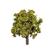 Arbre Fruitier