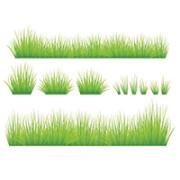Herbe et Végetation
