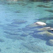 Création et Effet d'eau