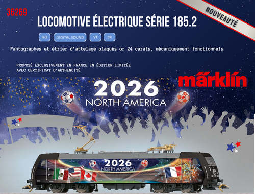 Lot de rails modélisme - Modélisme